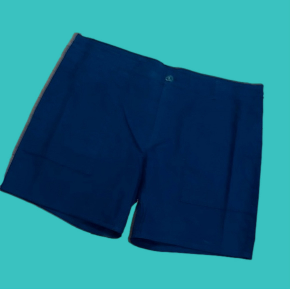 NWT men’s Swiss Alps navy shorts 44